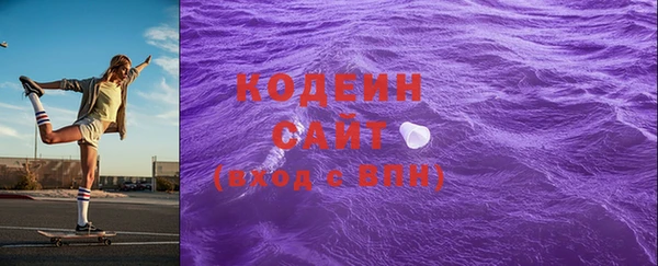 СК Снежногорск