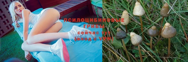 кокаин премиум Беломорск