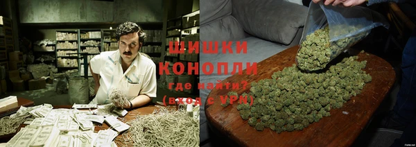 ALPHA PVP Снежинск