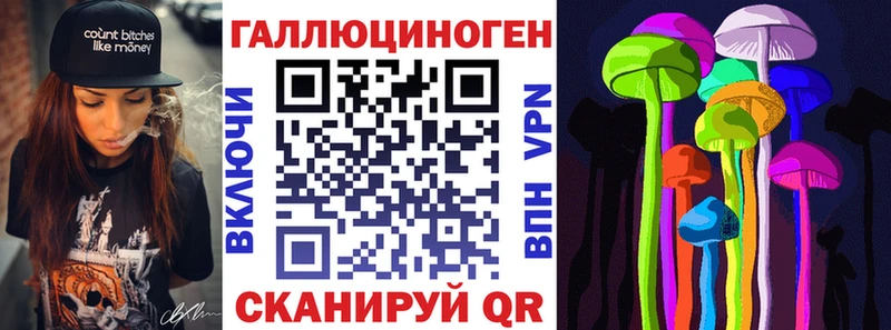 ОМГ ОМГ   Нерчинск  Галлюциногенные грибы Psilocybe 